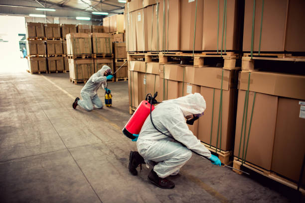Best Termite Control Services  in Green Hill, TN