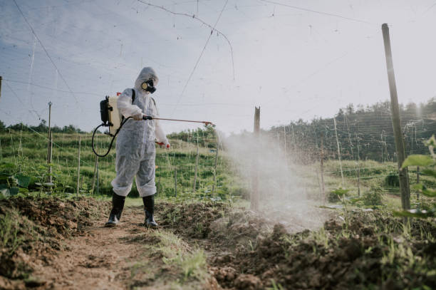 Best Best Pest Control Companies  in Green Hill, TN