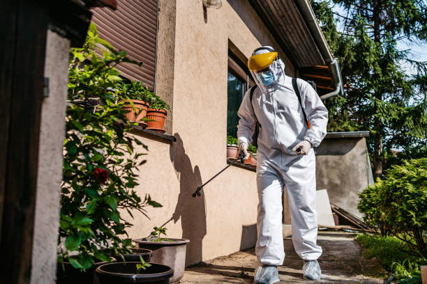 Flea Control Services in Green Hill, TN