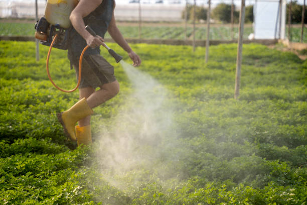 Best Affordable Pest Control Services  in Green Hill, TN