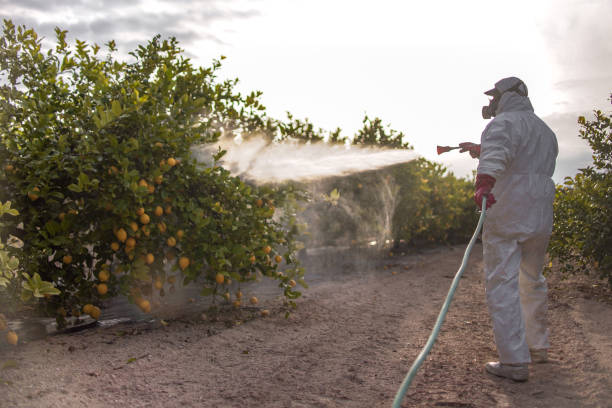 Best Mosquito Control Services  in Green Hill, TN