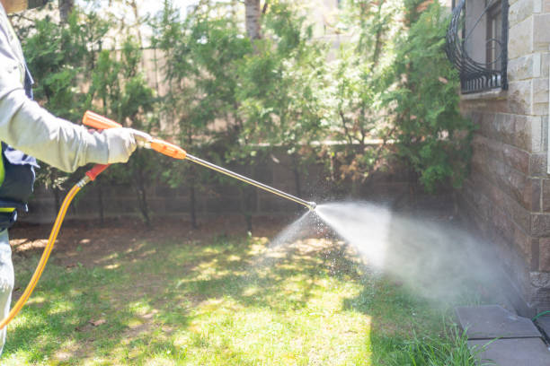 Best Flea Control Services  in Green Hill, TN