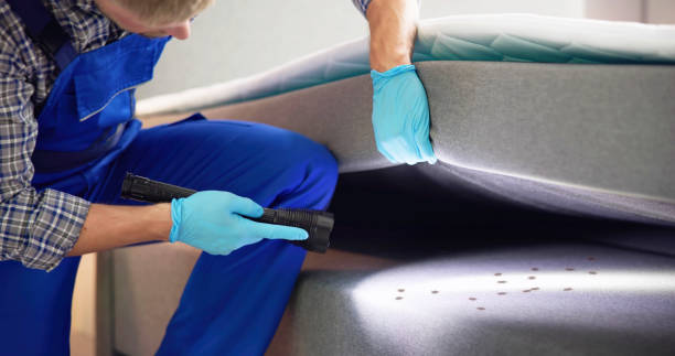 Best Emergency Pest Control  in Green Hill, TN