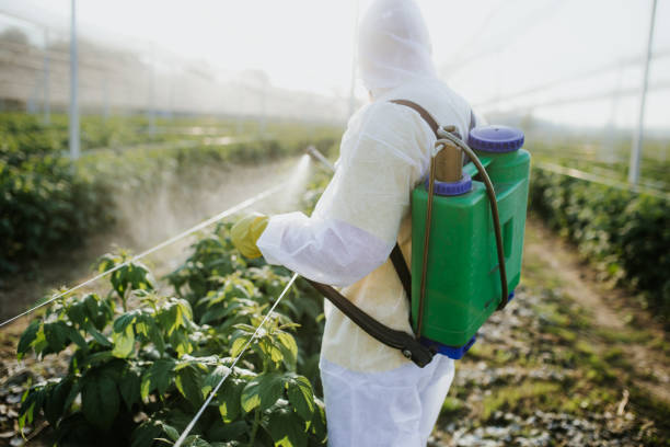 Best Cockroach Control Services  in Green Hill, TN